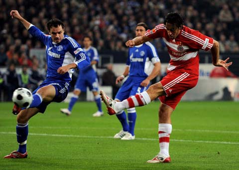 南京队是极 南京队是极